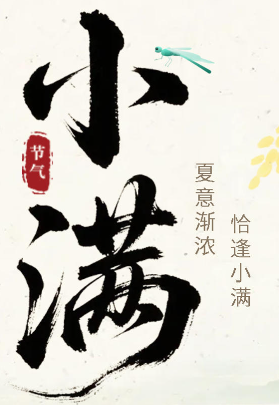 小满未满 差异精彩丨广外育人理念中的节气智慧