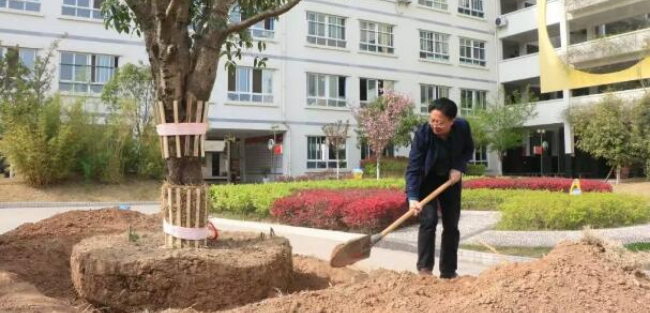 一树桂花——致敬新纪元三十年